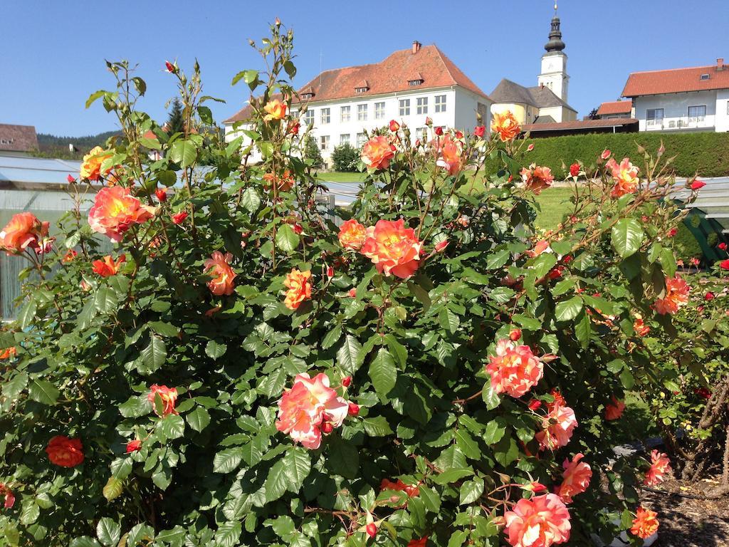 דירות Wenigzell Haus Rose מראה חיצוני תמונה